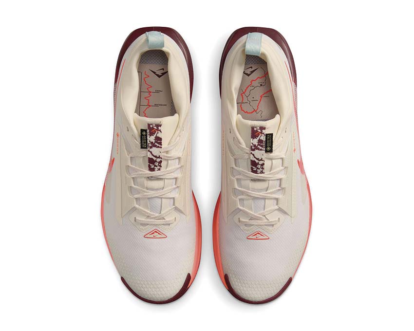 Nike Pegasus Trail 5 GTX "Silt Red"