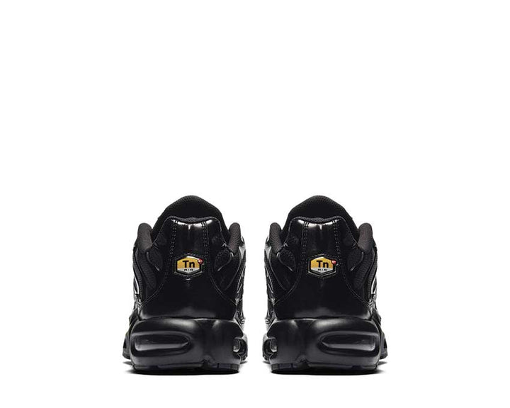 Nike Air Max Plus Black Black 604133-050