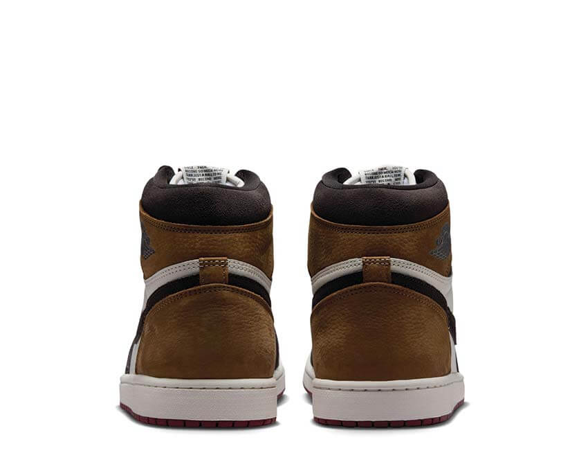 Air Jordan 1 Retro High OG DZ5485-201