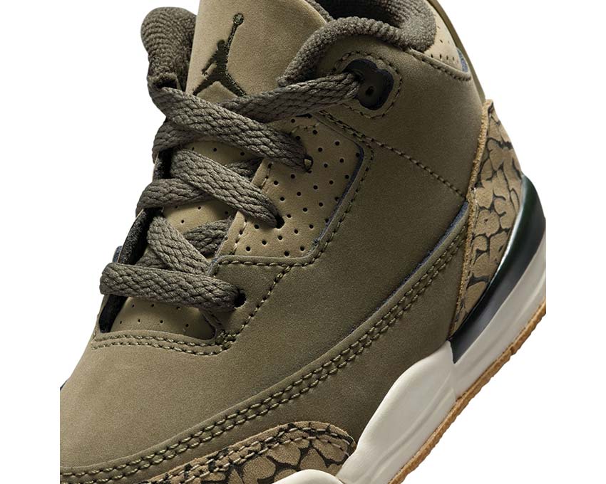 Air Jordan 3 Retro TD Family Affair vue latérale — tige cuir coloris famille Jordan