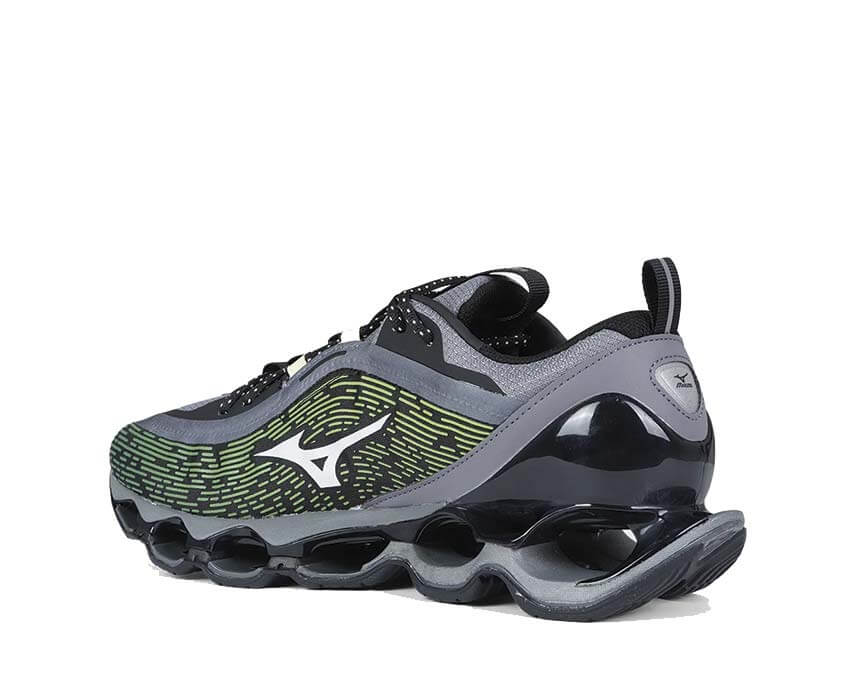 Mizuno Wave Prophecy 13.2 D1GA260H03