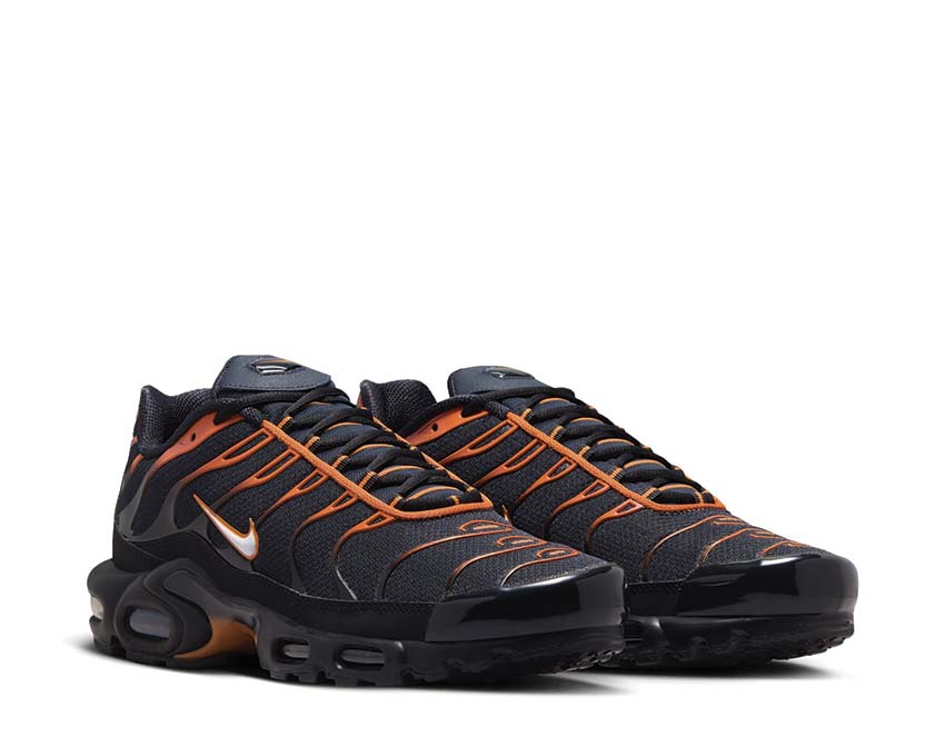 Nike Air Max Plus Black FN6949-400