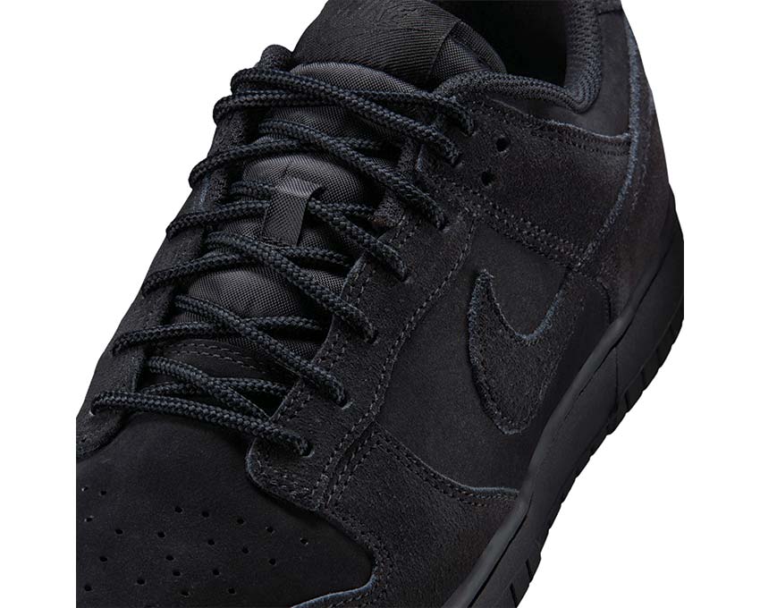 Nike Dunk Low Retro SE IB6651-001