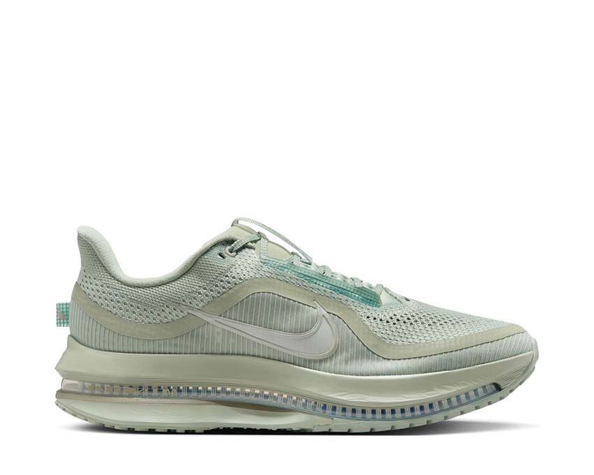  Nike Pegasus Premium Jade Horizon/Light Army-Jade Horizon HQ2592-300