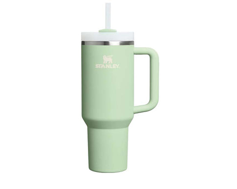 Stanley Quencher H2.O Pistachio 10-13230-063