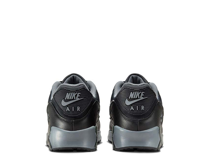 Nike Air Max 90 GTX DK Smoke Grey / Summit White - Cool Grey FD5810-002