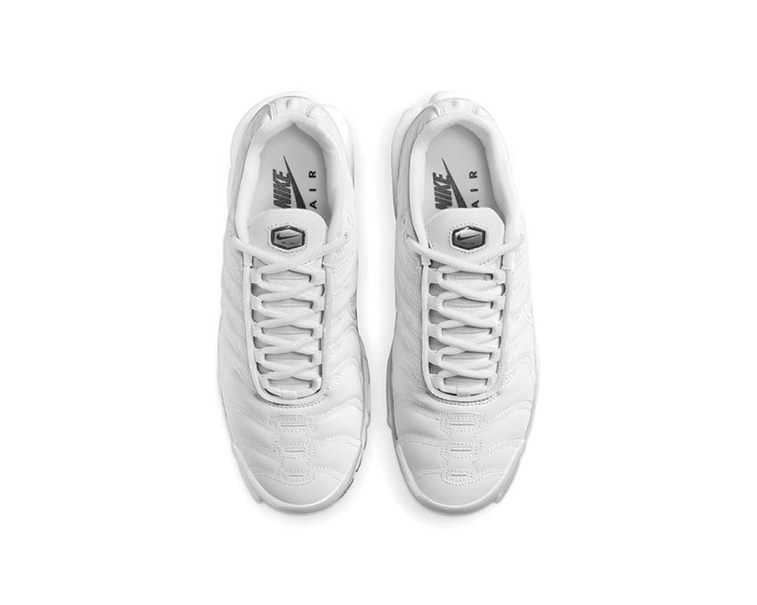 Nike Air Max Plus W Platinum Tint FZ4342-001