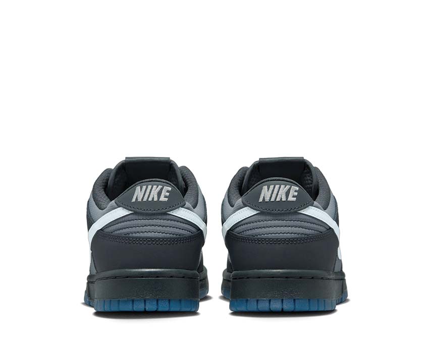 Nike Dunk Low Anthracite / Pure Platinum - Cool Grey FV0384-001