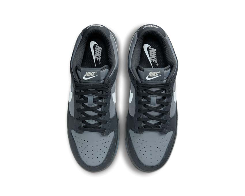 Nike Dunk Low Anthracite / Pure Platinum - Cool Grey FV0384-001