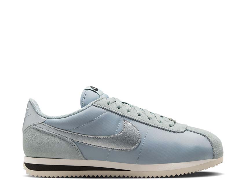 Nike Cortez Textile W Light Pumice / Metallic Silver DZ2795-002